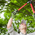 How A Landscape Contractor Can Optimize Arborist Tools Better Than DIY For Pembroke Pines Tree Services