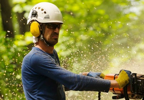 What does isa stand for arborist?