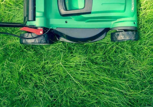 Lawn Mowing Essentials In Northern VA: Using Arborist Tools For Perfect Cuts